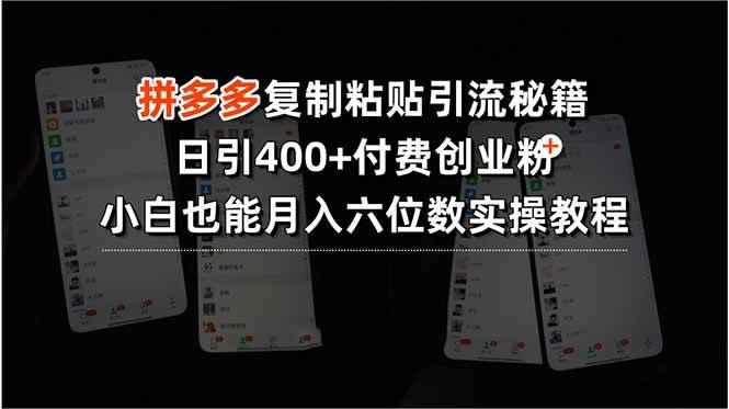 （15613期）拼多多复制粘贴引流秘籍，日引400+付费创业粉，小白也能月入六位数实操…-咩咩网络