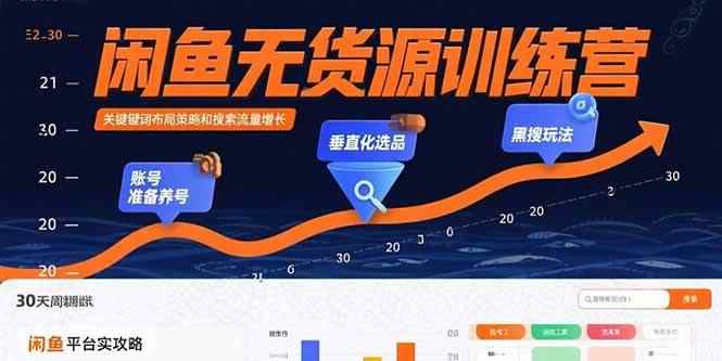 （15698期）闲鱼无货源训练营：账号准备养号/垂直化选品/黑搜玩法，0基础30天盈利指南-咩咩网络